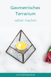 Geometrisches Terrarium selber machen