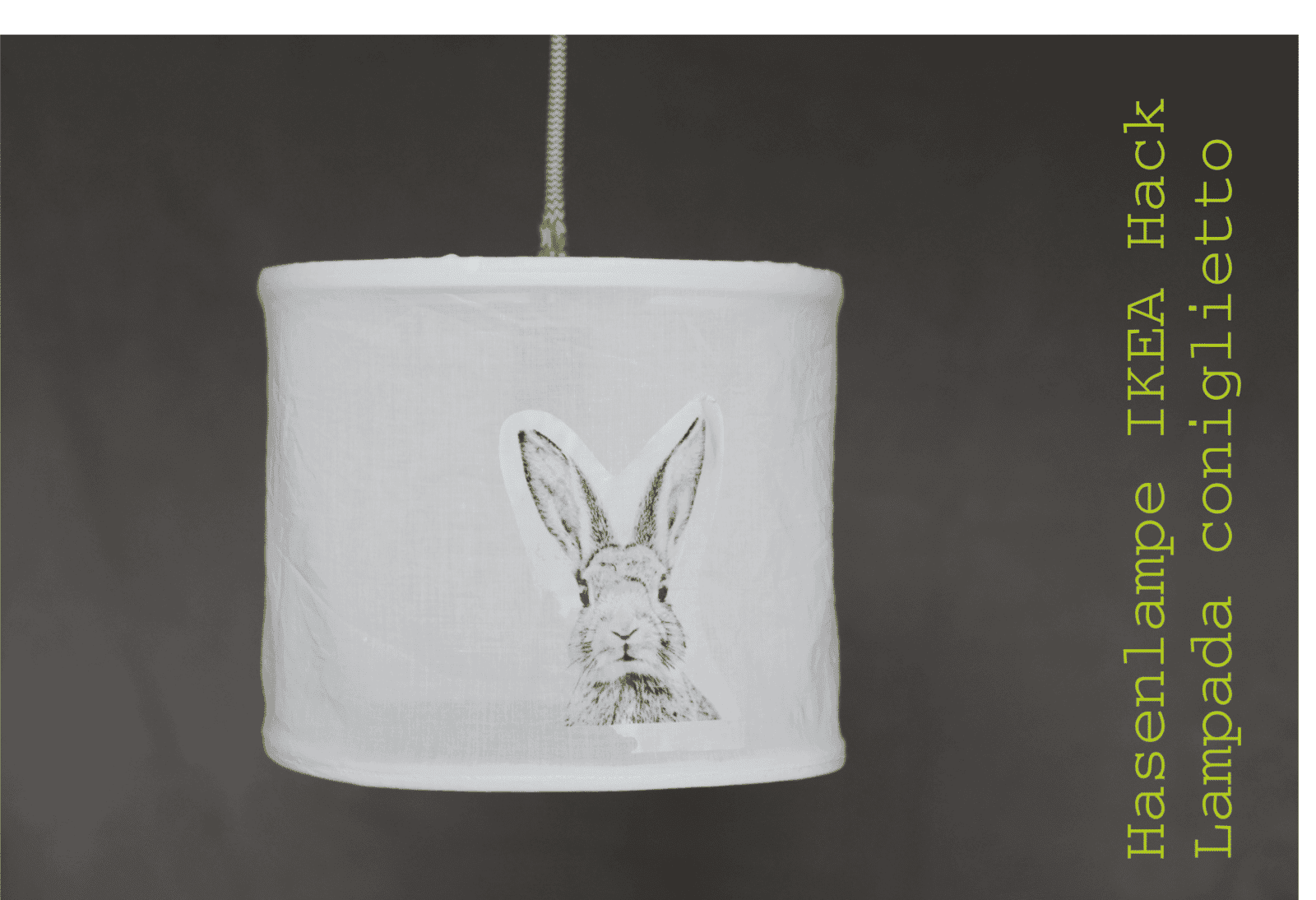 Hängeleuchte Hase Ikea Hack