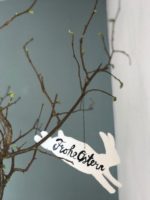 Stylomatenhasen FREEBIE