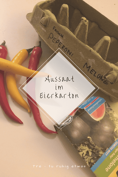 Aussaat im Eierkarton