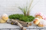 freches Osterlamm aus Hefeteig – perfekt für den Osterbrunch