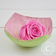 Pappmaché-Schälchen in frühlingsfrischen Farben