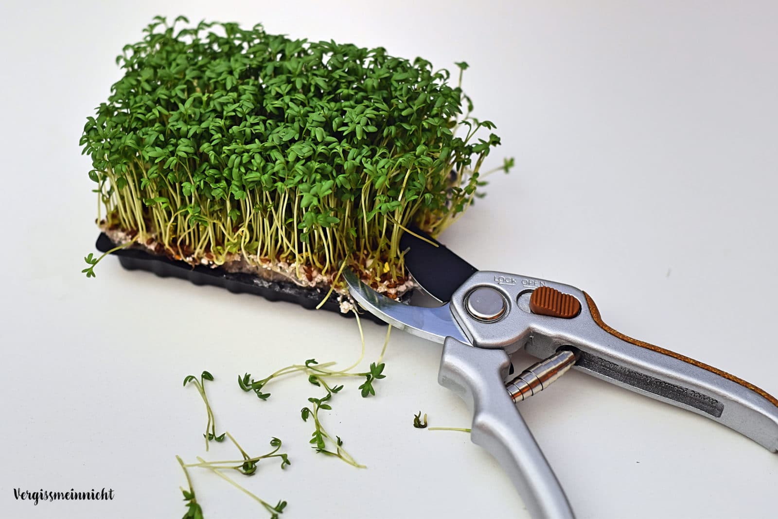 Fruchtiger Salat mit einem Kresse-Dressing