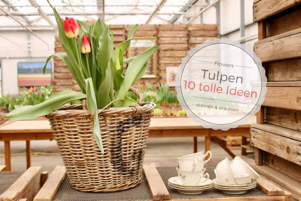 10 tolle Ideen für Tulpen