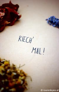 Duftmemory … Riech‘ mal! …