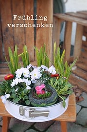 DIY: Frühling verschenken