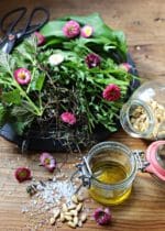 Wildkräuterpesto selber machen