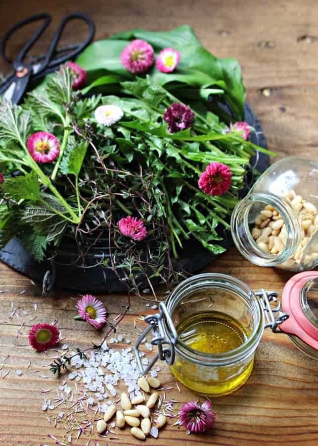 Wildkräuterpesto selber machen