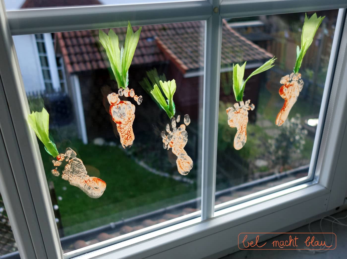 Lese-Möhrchen und Fenster-Karotten