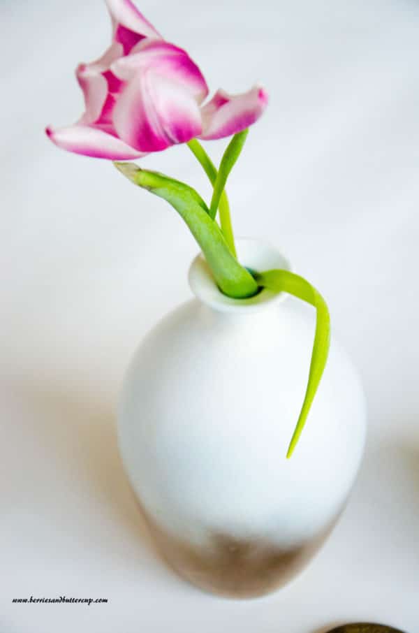 Upcyling Vase