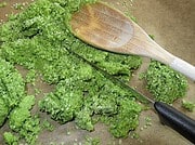 Bärlauchsalz – so geht’s