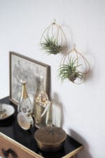 DIY Luftpflanzenhalter aus Draht