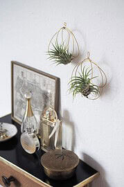 DIY Luftpflanzenhalter aus Draht