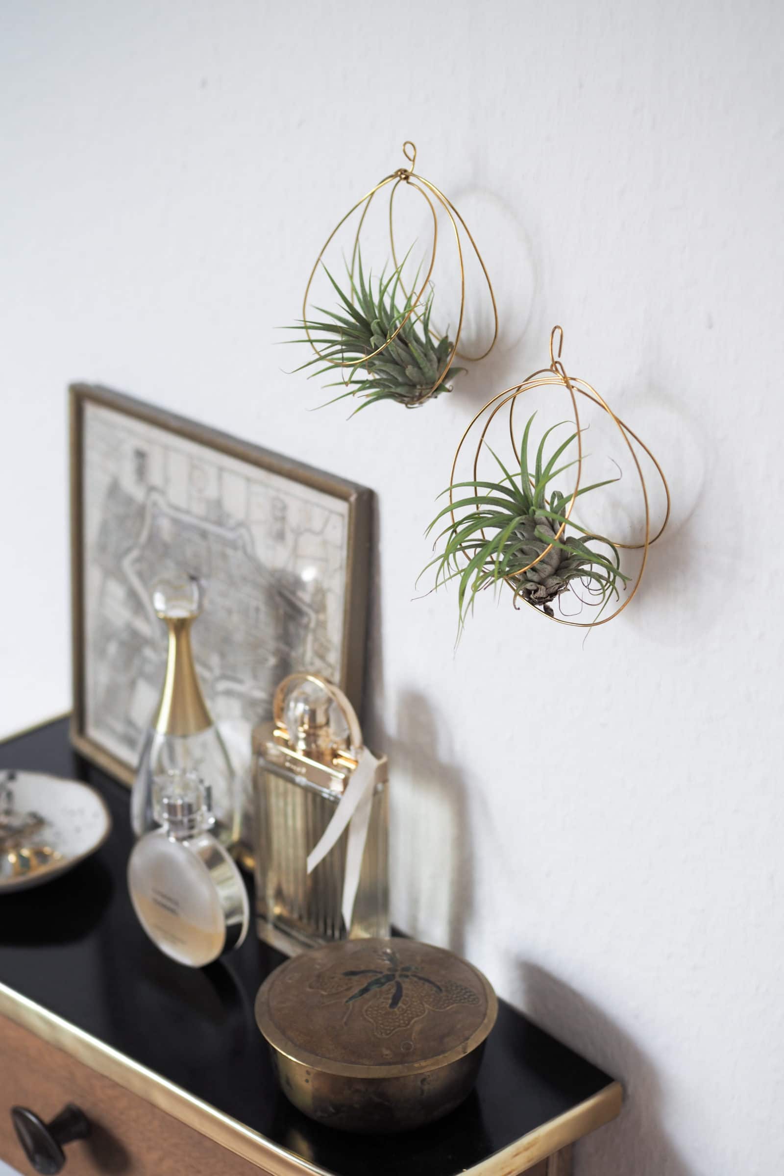 DIY Luftpflanzenhalter aus Draht