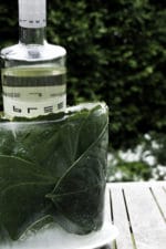 Tropischer DIY Ice Bucket