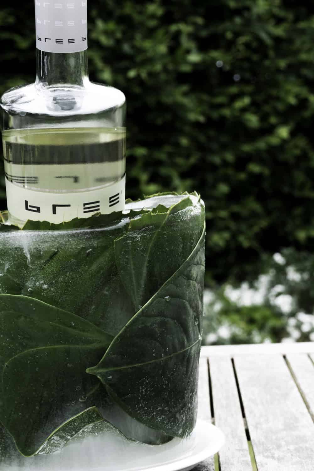Tropischer DIY Ice Bucket