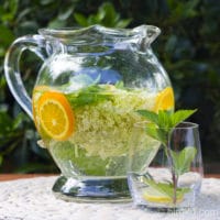 Selbstgemachtes Vitaminwasser - frischer Trinkgenuss [Birgit D]