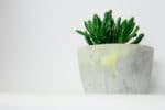 DIY mit Beton – Farbakzente setzen