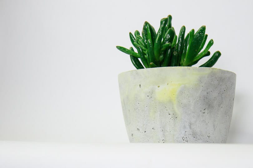 DIY mit Beton – Farbakzente setzen