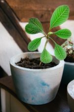 DIY mit Beton – Farbakzente setzen