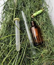 DIY, einfache, rustikale Sommerdekoration