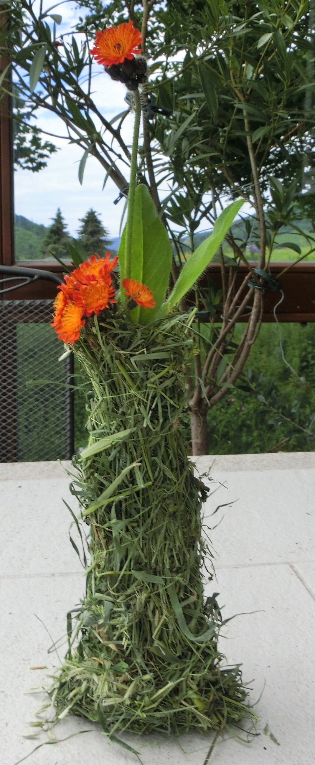 DIY, einfache, rustikale Sommerdekoration