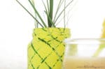 DIY Ananas-Vase