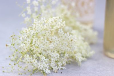 Rezept: Holunderblütensirup