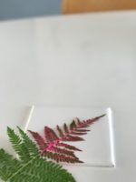 Pinker Daumen