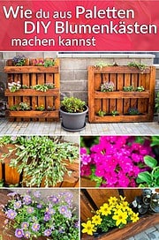 Wie du aus Paletten DIY Blumenkästen herstellst