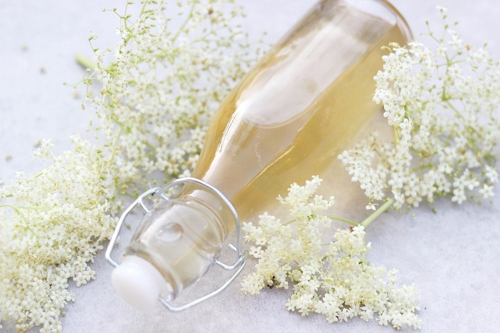 Rezept: Holunderblütensirup