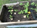 Beet Beschilderung / Pflanzenschilder selber machen
