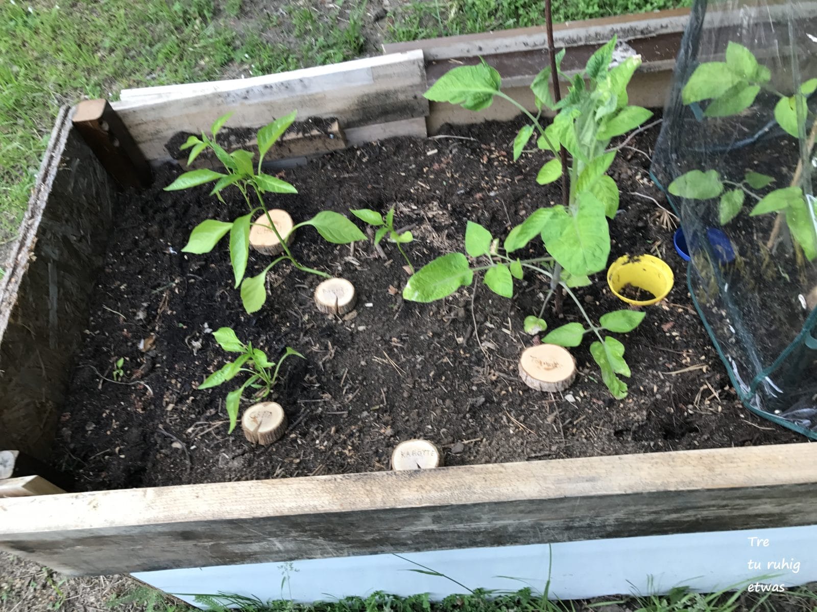 Beet Beschilderung / Pflanzenschilder selber machen
