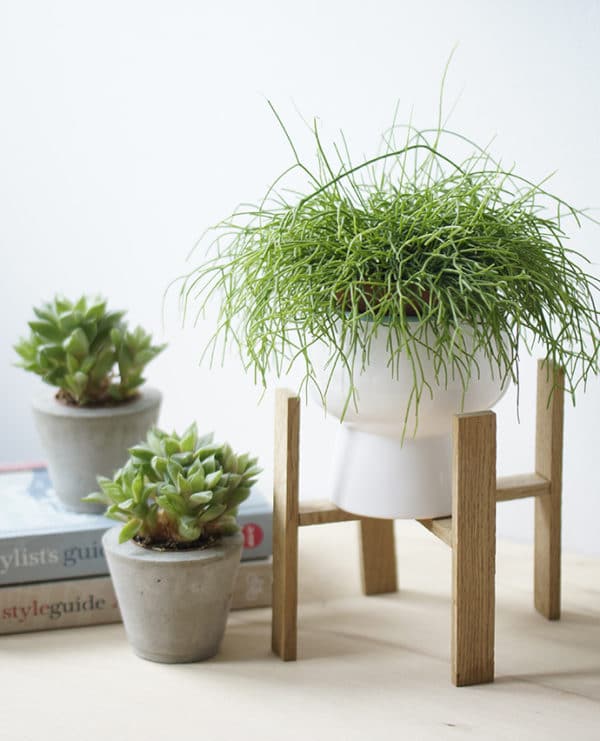 Blumenständer aus kleinen Holzleisten