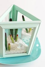 DIY TERRARIUM BASTELN AUS BILDERRAHMEN