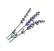 Frischer Lavendelstrauß mit violetten Blüten und grünen Stielen, ideal für handgemachte Dekorationen und kreative Projekte bei Handmade Kultur.