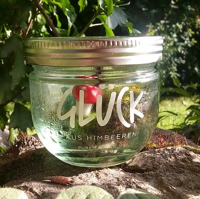 GLÜCK -Terrarium