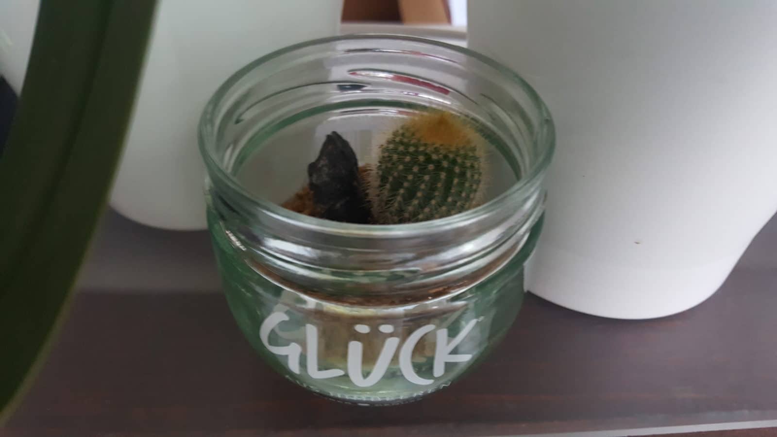 WüstenGLÜCK