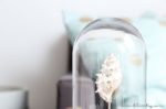 Maritime Deko mit Muscheln selber machen