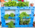 Upcycling – Kräuterbeet aus Palette