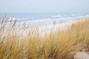 Sanddünen mit windbewegten Gräsern an einem Strand, Meereswellen im Hintergrund, ruhige Küstenlandschaft, Natur, Urlaub, Erholung, Meeresrauschen, Sommer.
