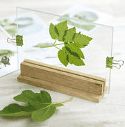 Glasrahmenhalter