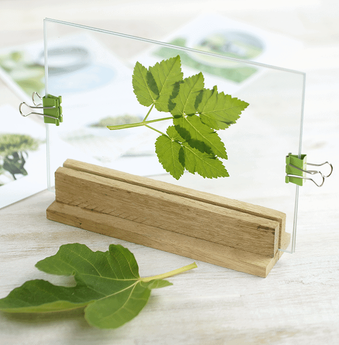 Glasrahmenhalter