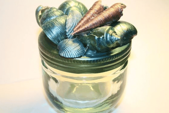 GLÜCKS-Muscheln