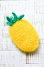 Ananas Schwamm