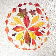 Herbstblätter in Rot, Gelb und Grün kunstvoll zu einem Mandala auf Sand gelegt, symbolisiert Natur und Kreativität bei HANDMADE Kultur.