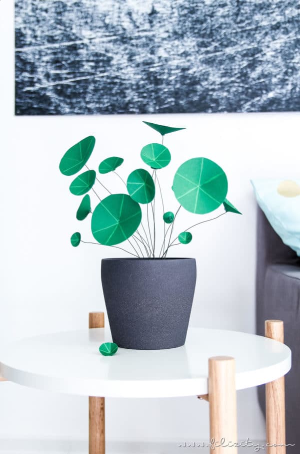 Chinesischer Geldbaum (Pilea) aus Papier