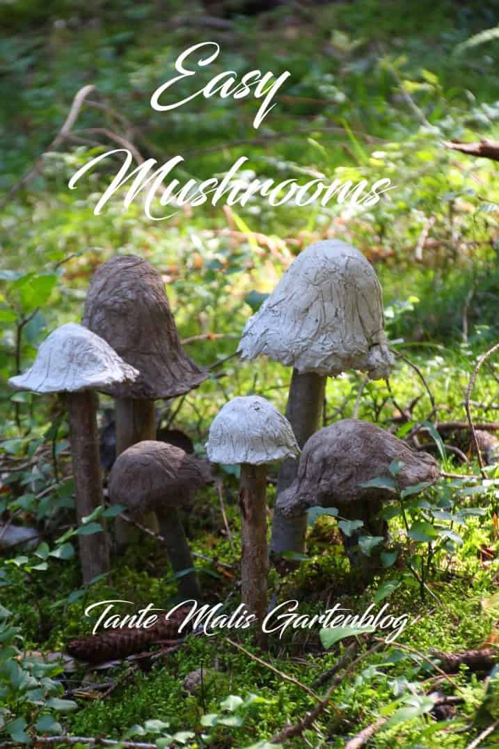 Magic Mushrooms – Die einfachsten Betonpilze der Welt