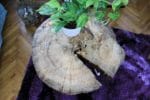 DIY Tischchen aus einer Holzscheibe