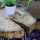 DIY Tischchen aus einer Holzscheibe